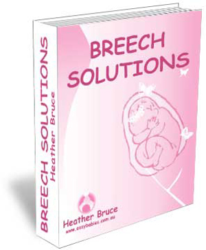 Breech Solutions