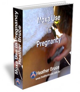moxa-in-pregnancy-3D
