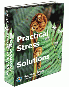 practical_stress_solutions-3d